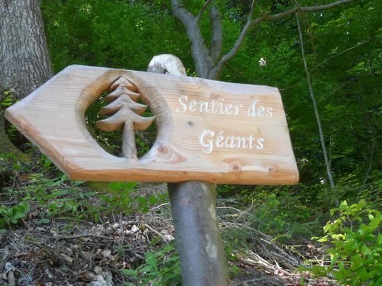 Sentier des géants : réalisation de l' IME d' Albertville