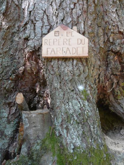 Sentier des géants : réalisation de l' IME d' Albertville