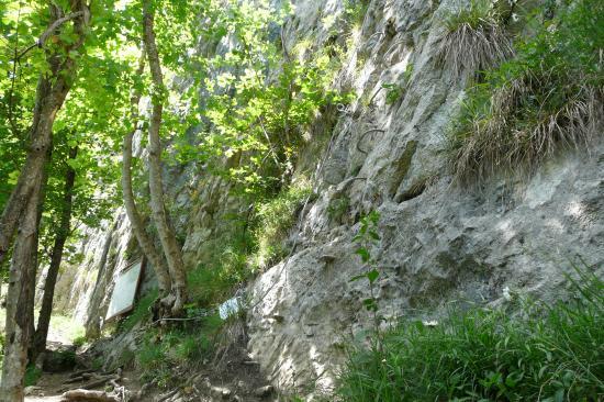 le départ de la pch'ti et l' affichette blanche de rappel des longes scorpio petzl !