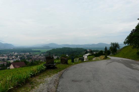 le début de la montée du Grand Colombier au dessus de Culoz