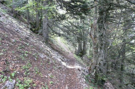 le sentier vers le habert après la cabanne de bachasson le sentier vers le habert après la cabanne de bachasson