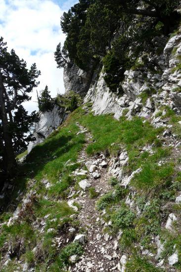 le sentier qui amène au pas qui mène au jardin le sentier qui amène au pas qui mène au jardin