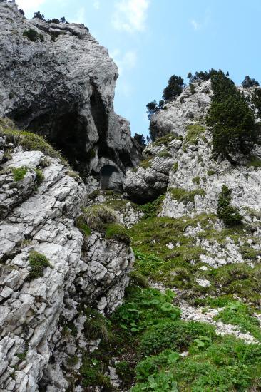 fausse piste , raccouci ? fausse piste , raccouci ?