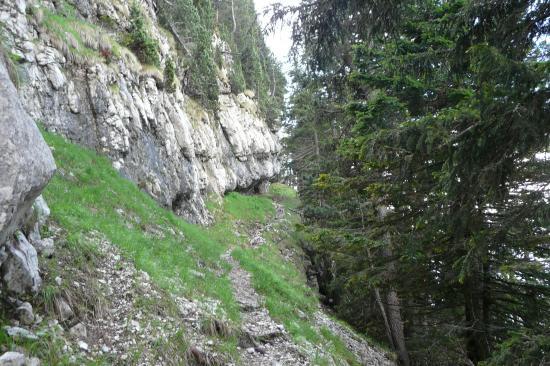 le chemin entre le habert et la cheminée de chamechaude