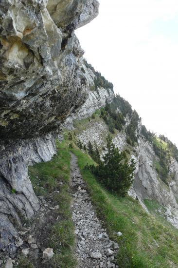 sentier suspendu dans  la traversée habert de chamechaude - jardin