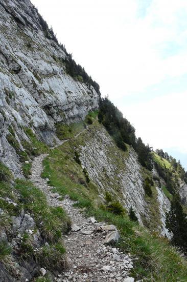 chamechaude par le jardin, sentier suspendu ...glissade interdite ! chamechaude par le jardin, sentier suspendu ...glissade interdite !