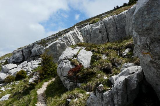 la dernière rampe de la montée de chamechaude depuis la cheminée la dernière rampe de la montée de chamechaude depuis la cheminée