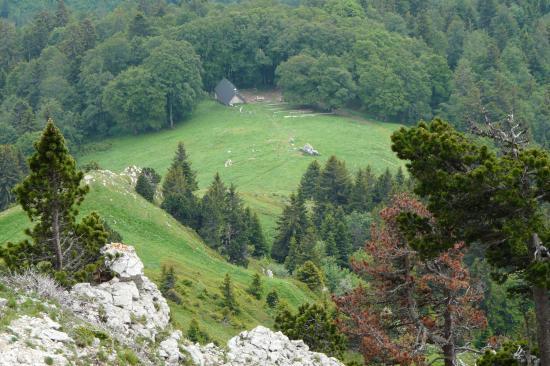 le habert de chamechaude depuis le bas de la brêche Arnaud le habert de chamechaude depuis le bas de la brêche Arnaud