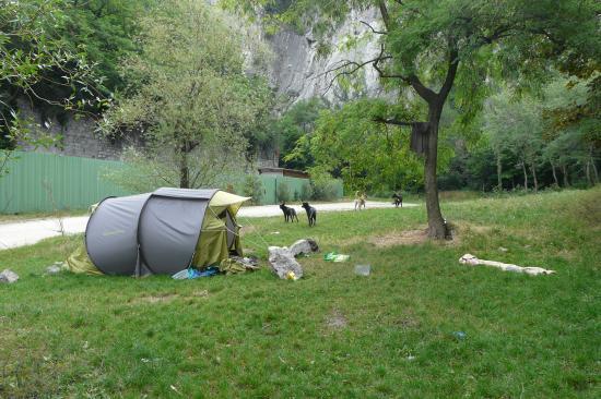 les tentes des sans abris ... les chiens ... dans le parc d' accés de la via de la bastille