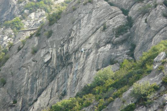 ferratiste dans la via de la bastille à grenoble