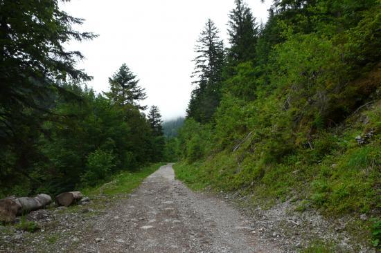 le chemin de départ le chemin de départ
