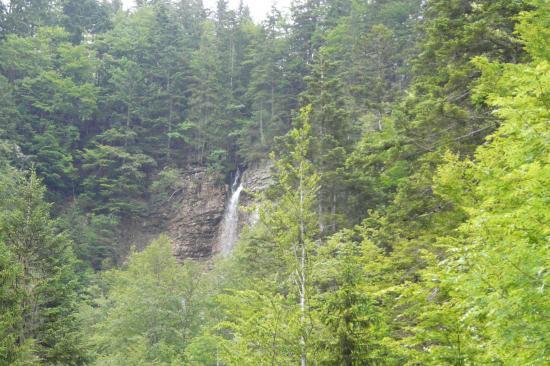 la cascade du guiers mort un peu plus bas que la source la cascade du guiers mort un peu plus bas que la source