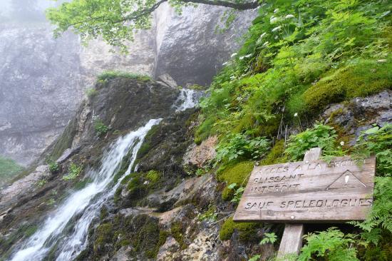 source du guiers mort - vue générale