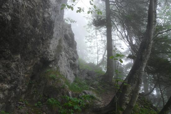 le début du sentier non sécurisé qui méne au trou du glas depuis les sources du guiers mort