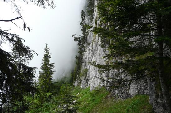 le brouillard est là ! le brouillard est là !