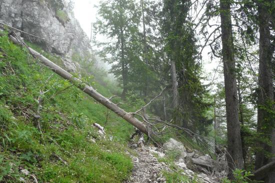 chemin pas entretenu ...ça se confirme ! chemin pas entretenu ...ça se confirme !