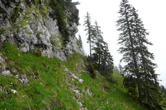 le sentier suit la falaise en montant vers le trou du Glas