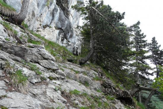 fin du sentier ,il faut monter au plus près du rocher !