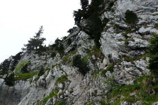 la montée àla cheminée de la dent de crolles