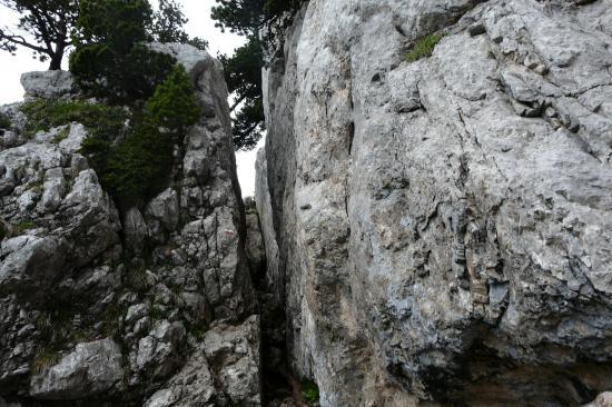 Le haut de la  cheminée