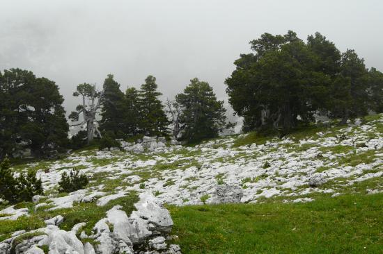 ambiance karstique sur le plateau de la dent de Crolles