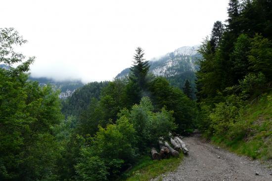 sur le chemin de descente col du coq - Perquelin