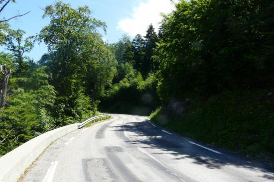 dans la montée d' Alpe du grand Serre c