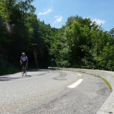 dans la montée d'Alpe du grand Serre