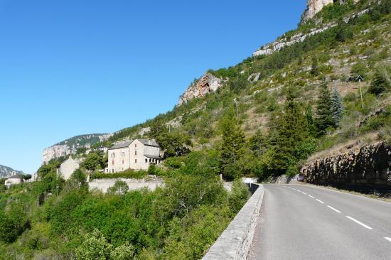 dans les gorges de la Jonte