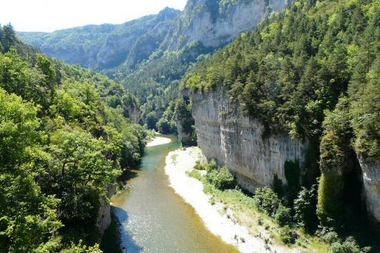 les gorges du Tarn