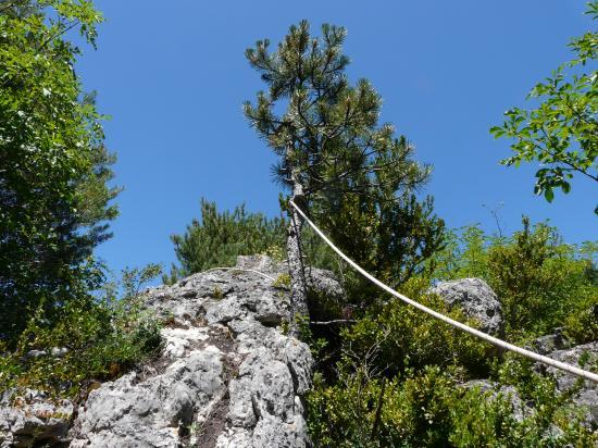 ligne de vie de la cordata du roc des Bouilhères à Meyrueis