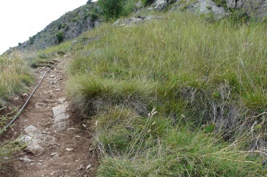 sentier de liaison vers la deuxième partie de Poingt Ravier