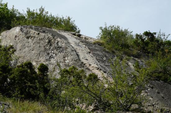 bifurcation, la sortie directe vers l' antenne (Poingt Ravier) bifurcation, la sortie directe vers l' antenne (Poingt Ravier)