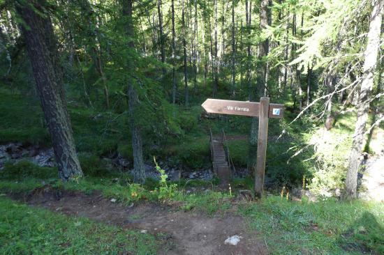 le chemin d'accés pittoresque de la via de la cascade aux Orres