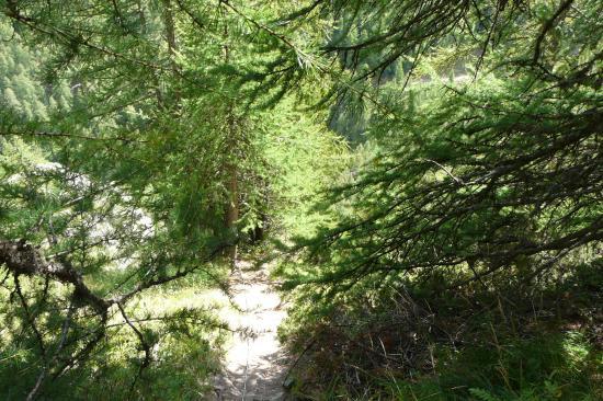 sortie - chemin de retour de la Marcellinas aux orres