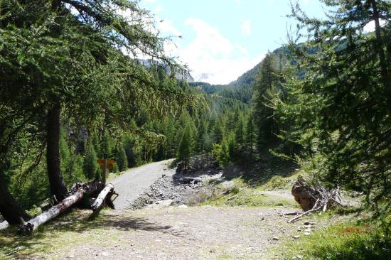 retour sur la piste du vallon de l' Essayette