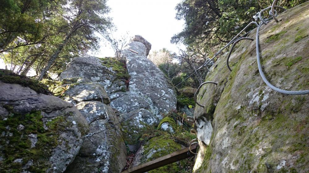 l' itinéraire au dessus de la passerelle, tout en haut le champignon dans lequel il y a le parcours rouge