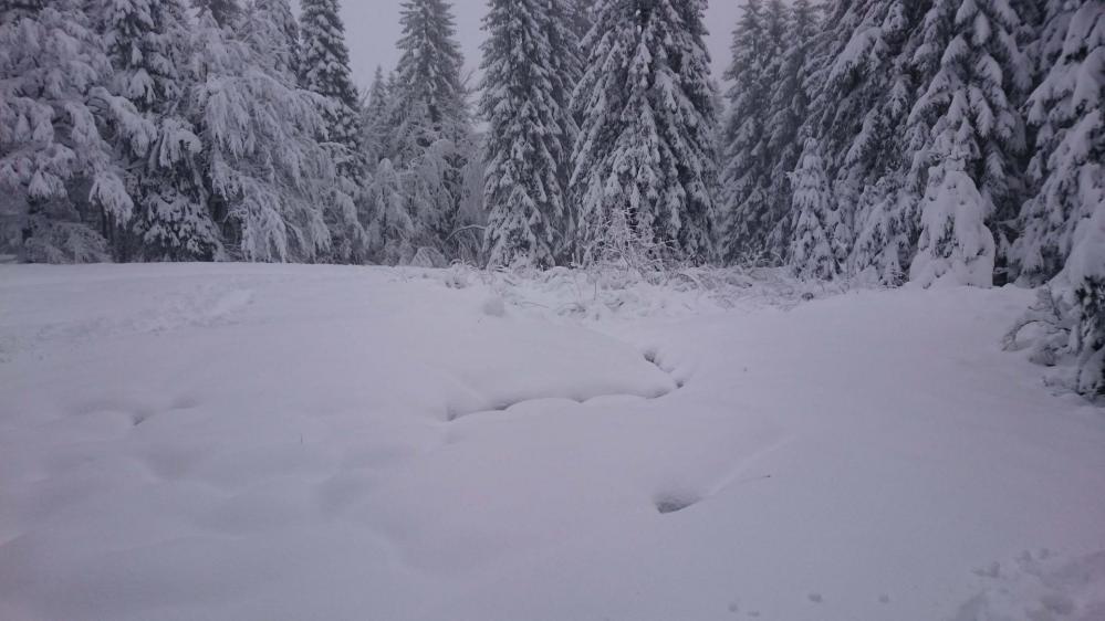 En haut de la première montée en vue du refuge des Trois Fours