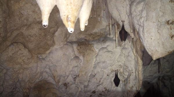 grotte du tunnel à Arbois