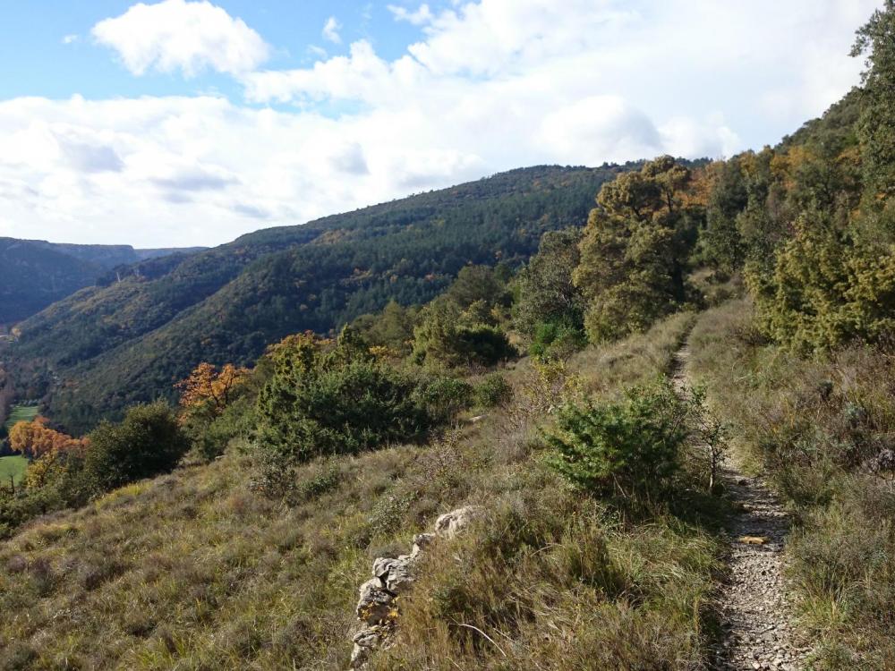 Agréable cheminement au dessus de la vallée de la Vis