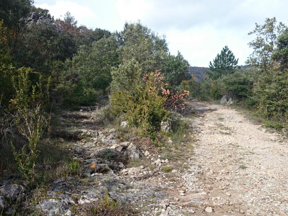 Après le retour sur la route, sentier raccourci sur la gauche (trace orange)