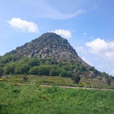 Mont Gerbier de Jonc