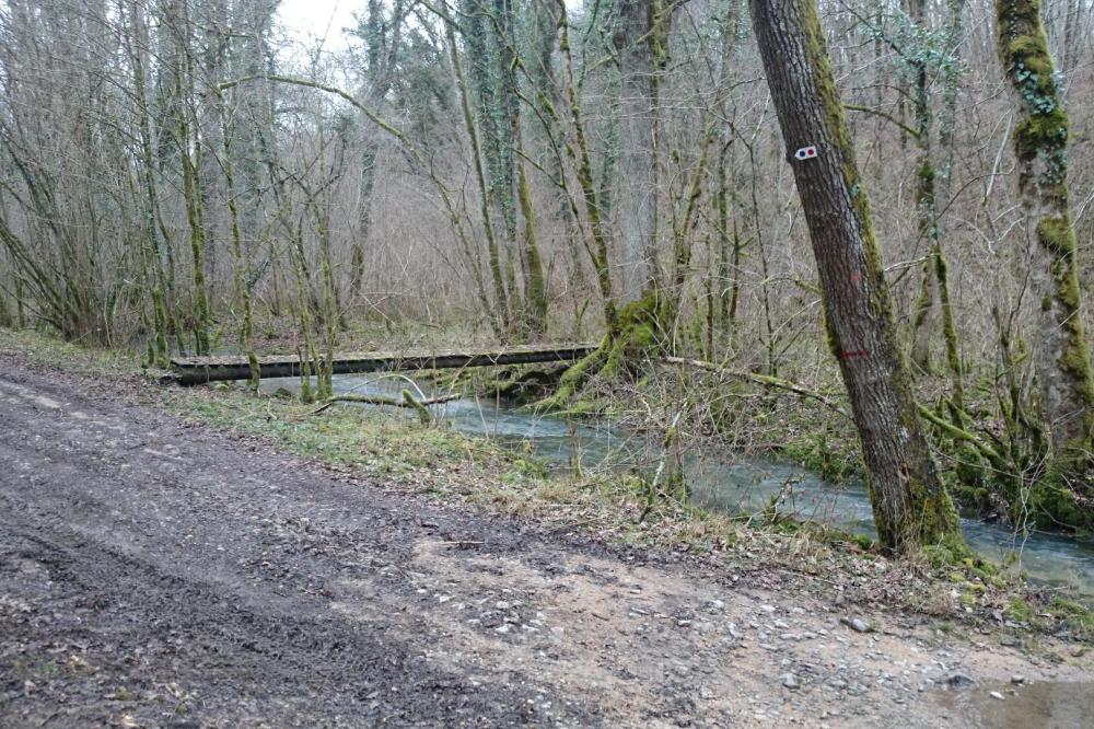 Passerelle sur le Larot pour remonter vers le Chêne Bocquet