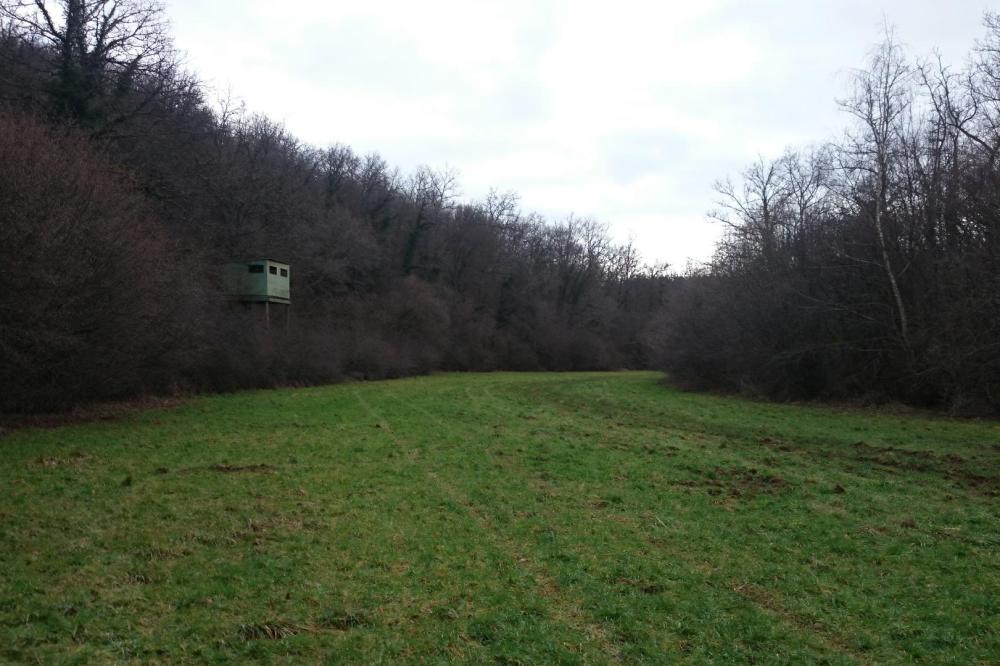 le long vallon des prés qui s' en va jusque Thuilley aux groseilles