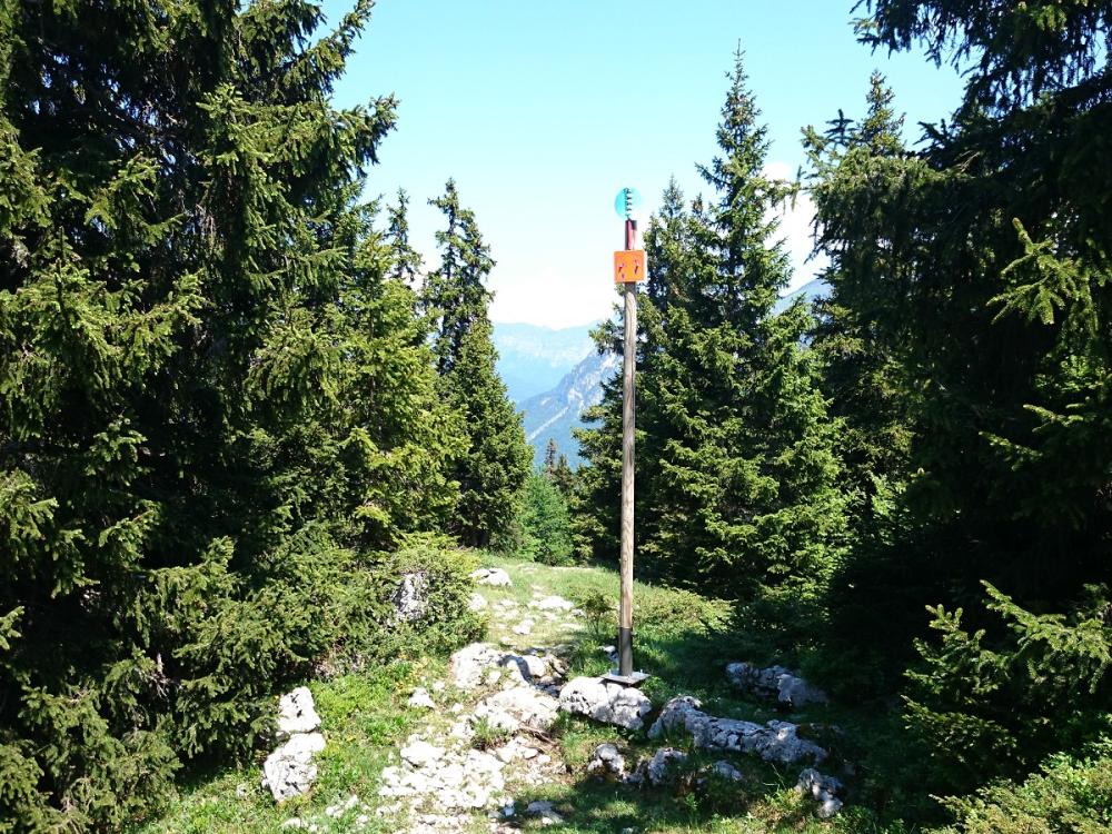 De nouveau en sous bois sur le sentier des glacières, en direction de la rando spéléo !
