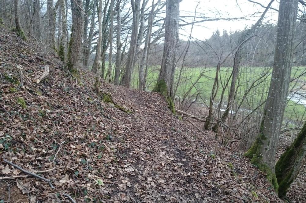 Chemin forestier le long de la Bouvade avant de remonter vers Bicqueleyen direction de la deuille d' Ochey