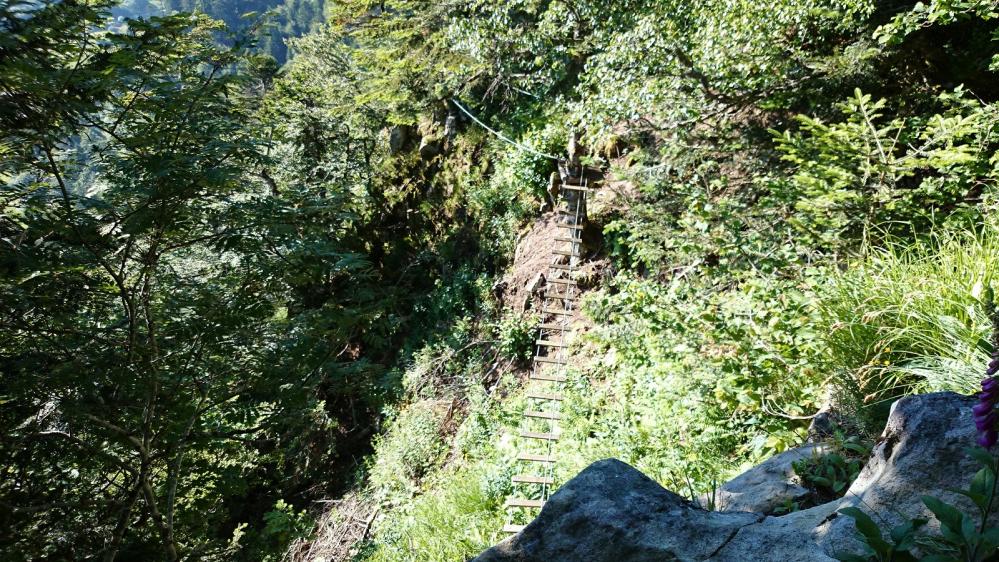 Une petitepasserelle en passant dans la via du Capucin pour admirer Le Mont Dore à ses pieds !