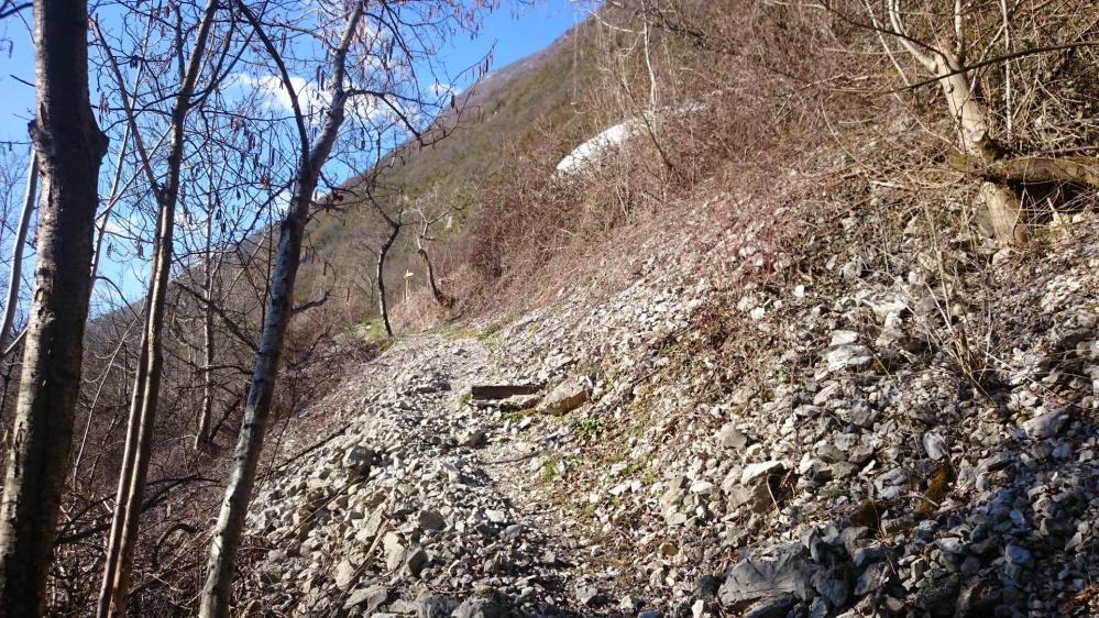 Le sentier atteint la route du Tunnel du Chat