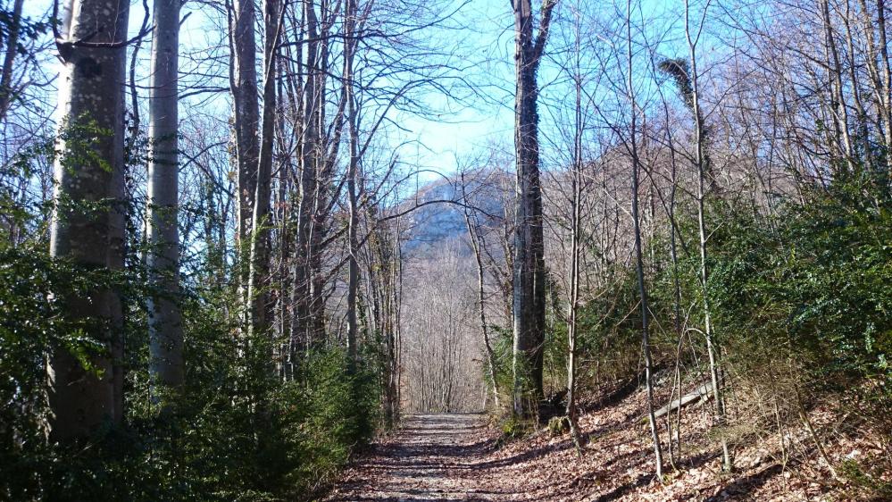 A l' approche du col du Chat, le rocher du Cornillon se montre !