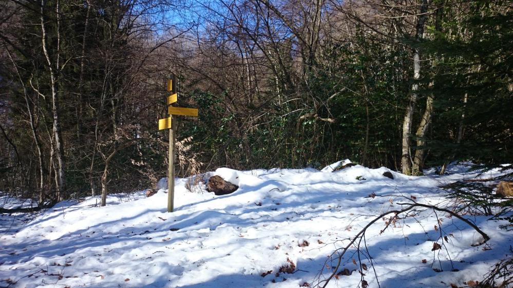 Encore de la neige au mois de mars dans la montée au rocher du Cornillon